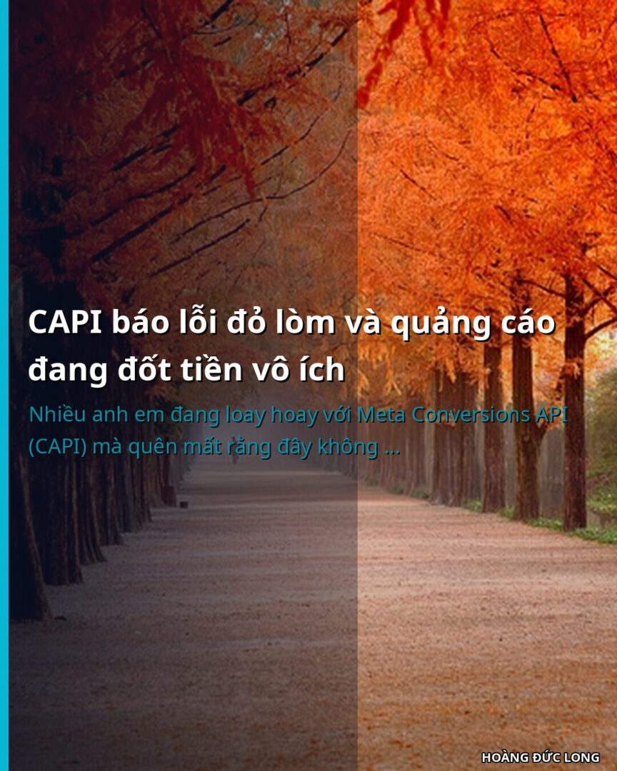 Tap Doan AI