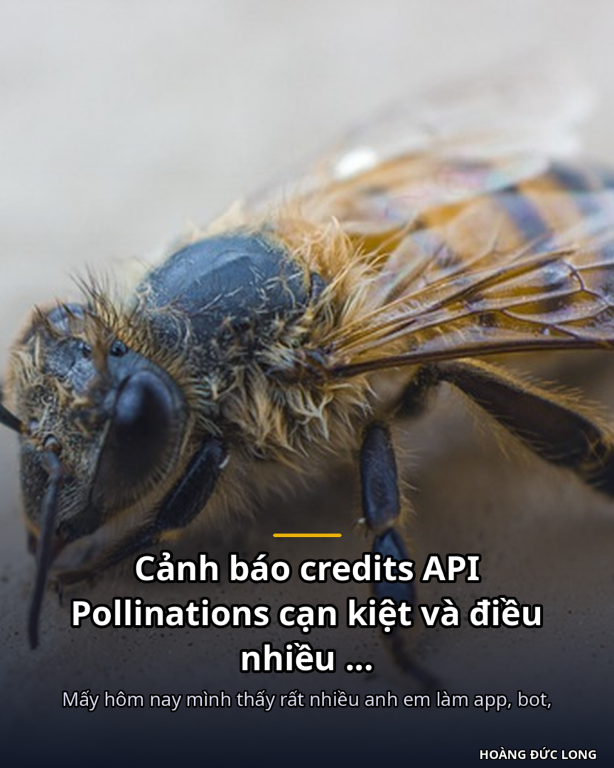 Tap Doan AI