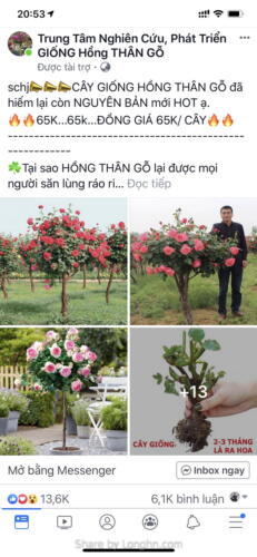 top-mau-quang-cao-facebook-577